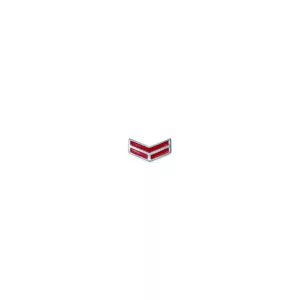 PIN YANMAR FLYING Y